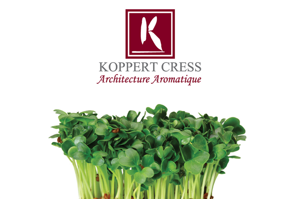 WEB_koppert-cress-logo